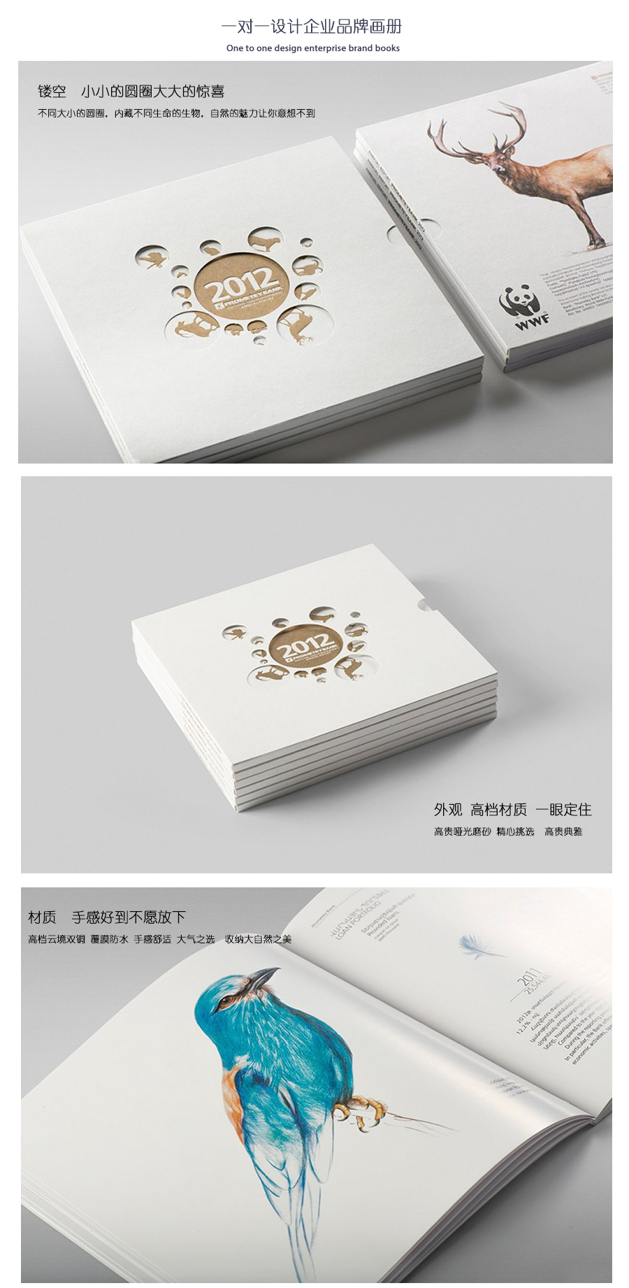 精美生物畫冊、精裝畫冊